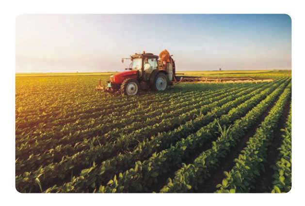 Business Magazine brief on Agriculture sector
